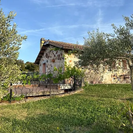 Affitta Matta-chiodino Affittacamere Arzachena